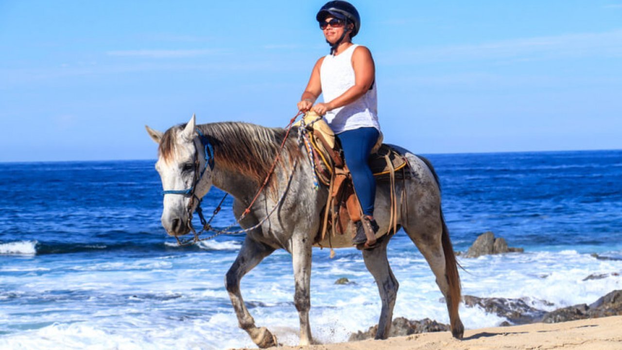 Embark on Montego Bay Horseback Riding Adventures