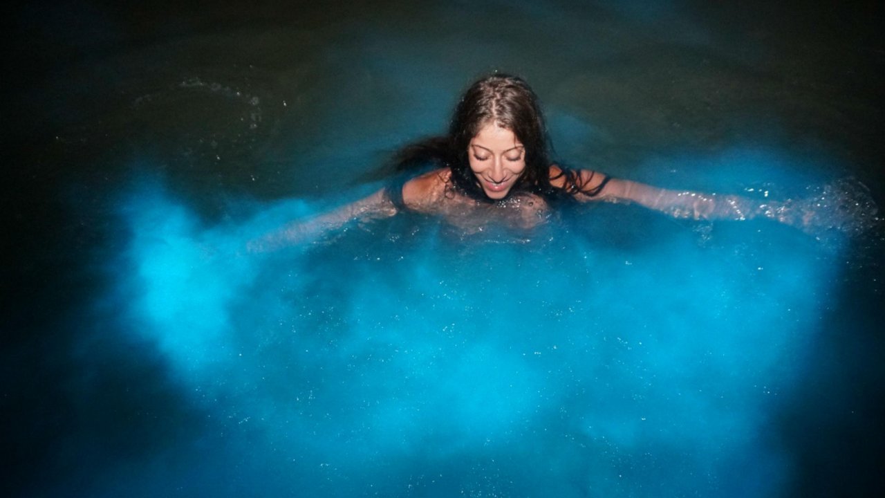 Glowing Water Await Luminous Lagoon Night Experience Montego Bay